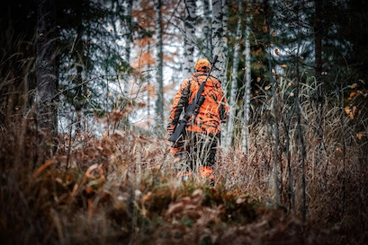a hunter wearing camouflage and orange makes his way into the woods carrying a hunting rifle