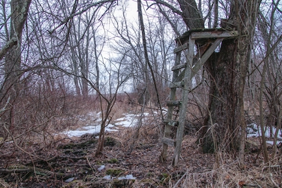 Tree stand in the woods,, surrounded by bare trees and patches of snow covering the ground.